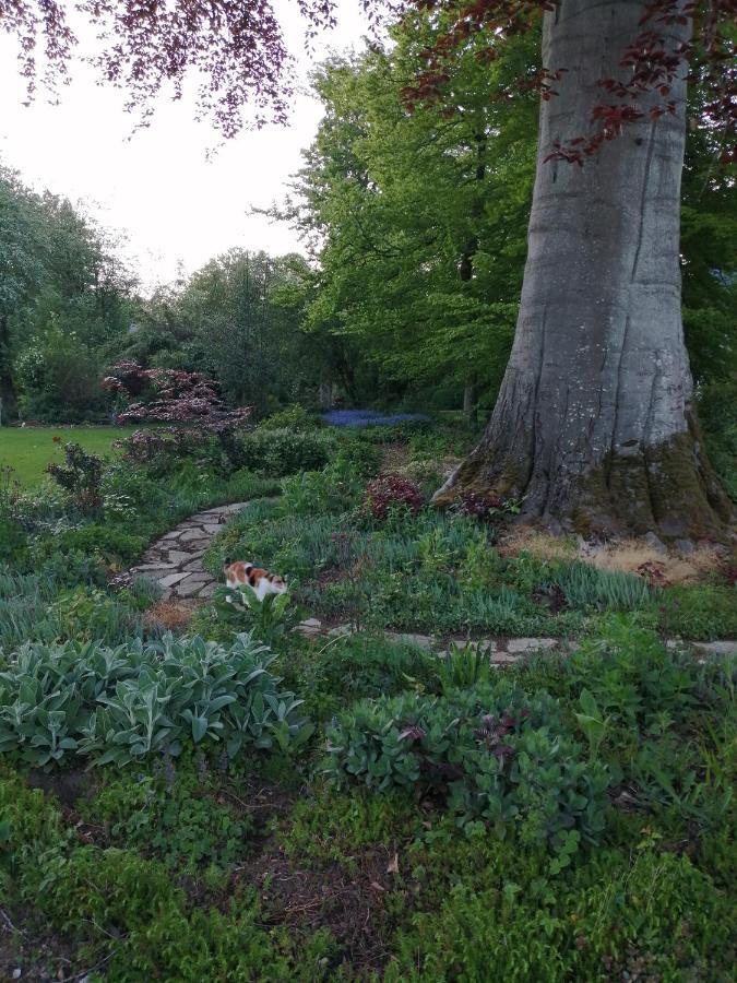Appartement André Le Nôtre dans château XIX ème Bracquetuit Esterno foto