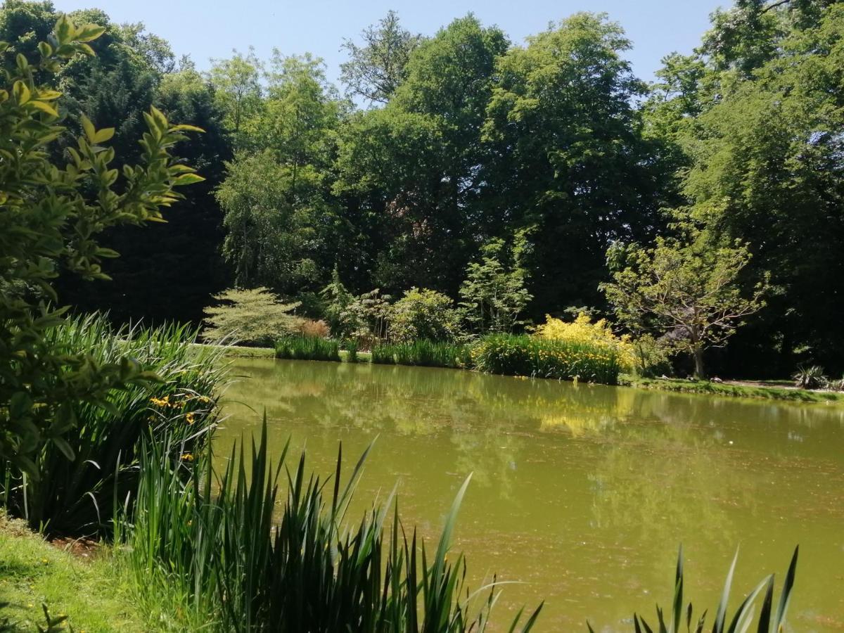 Appartement André Le Nôtre dans château XIX ème Bracquetuit Esterno foto